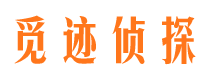 井陉县市调查公司